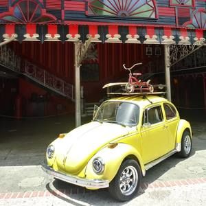 Meet your Posher, Wilton